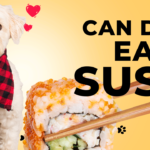 Can Dogs Eat Sushi? A Comprehensive Guide for Pet Owners 2024