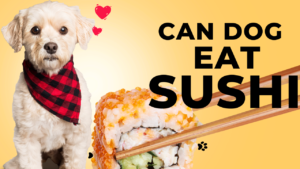 Read more about the article Can Dogs Eat Sushi? A Comprehensive Guide for Pet Owners 2024